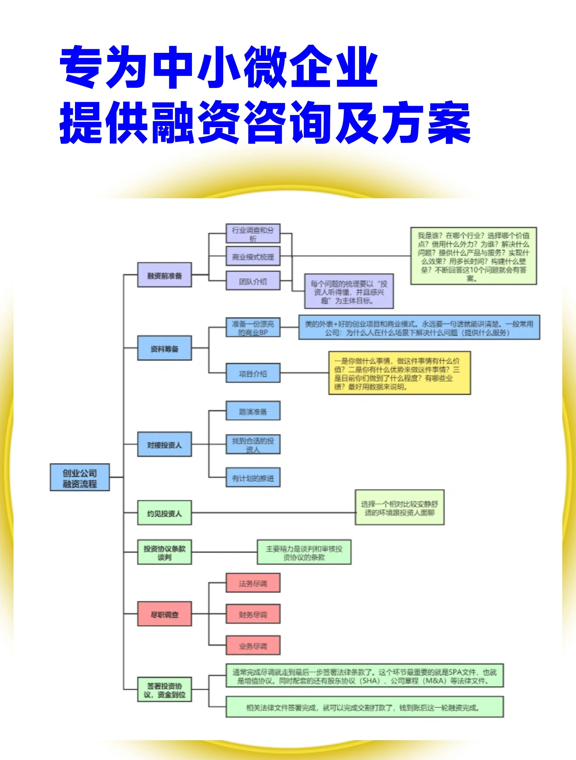 保定市宠物企业资金管理(宠物管理机构叫什么)
