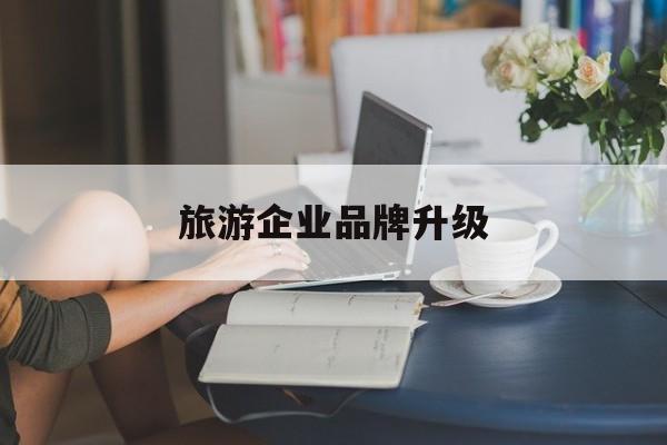 保定市旅游企业品牌升级(旅游企业品牌升级措施)