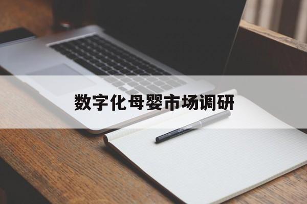 保定市数字化母婴市场调研(数字化母婴市场调研报告)